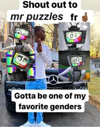 Mr Puzzles