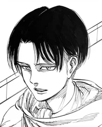 Levi Ackerman 