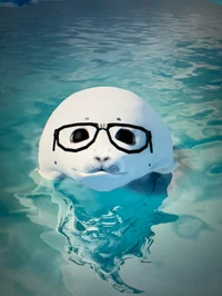 Silly Seal