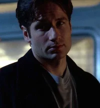 TXF Fox Mulder