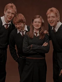 Weasley family