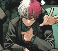 Shoto Todoroki