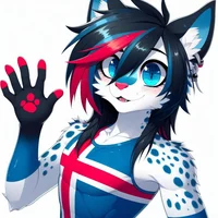 Iceland Cat