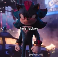 Shadow The Hedgehog