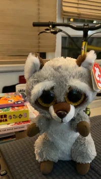 Ty beanie boo raccon