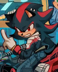 Shadow The Hedgehog 