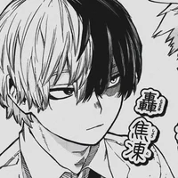 Shoto Todoroki 