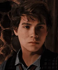 HL -Sebastian Sallow