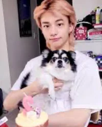 Autistic Hyunjin 