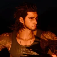 Gladiolus Amicitia