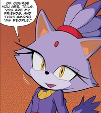 Blaze The Cat