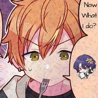 MISC Ratio and Akito