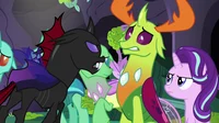 Thorax and Pharynx