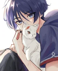 scara and kazuha cat