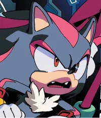 Shadow the Hedgehog