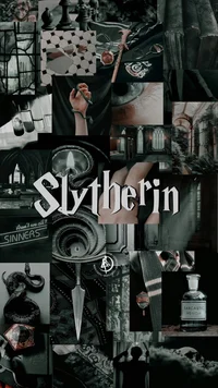 Slytherin gang