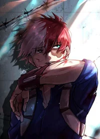 Shoto Todoroki 