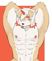 Hung furry gay boyfr