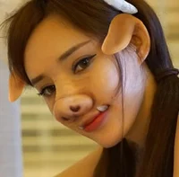 Anthro Pig Girl Maid