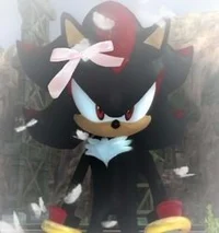 Shadow