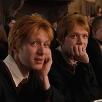 Weasley Twins 