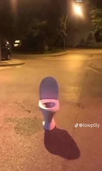 toilet in the street