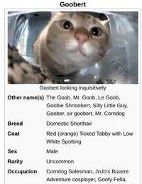 abnormal trivia show