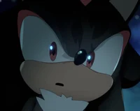 Shadow The Hedgehog