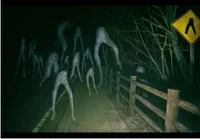 Night Walker - RP