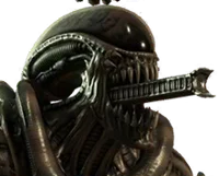 The Perfect Organism