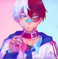 Shoto Todoroki
