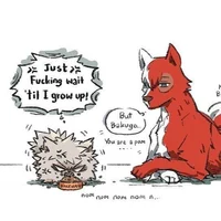 Bakugo and Shoto