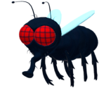 A Fly