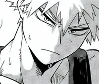 Katsuki Bakugou 