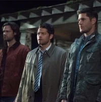 Team Free Will 