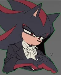 Shadow The Hedgehog