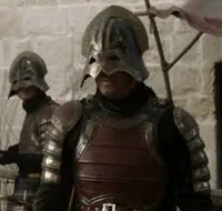 Lannister Soildier