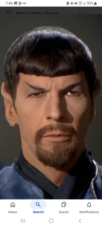 Mirrior Spock