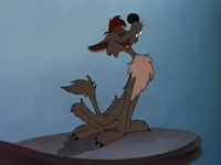 Bent-Tail the Coyote