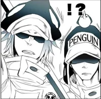 Shachi e Penguin