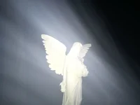 Anjo da Guarda