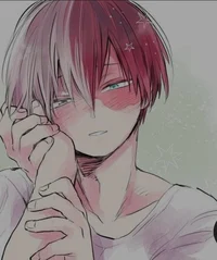 Shoto Todoroki