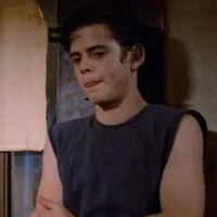 Ponyboy Curtis 