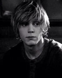 Tate Langdon BR