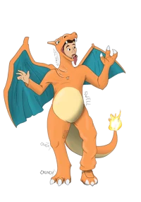 Charizard suit