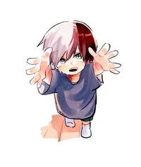 Shoto Todoroki 