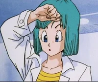 Bulma Briefs