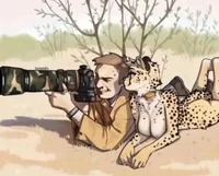 Cheetah Gf