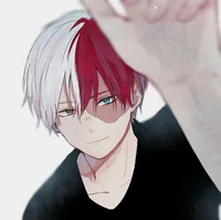 Shoto Todoroki 