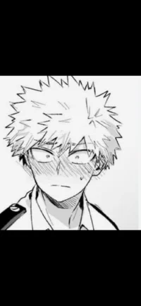 Katsuki bakugo BF